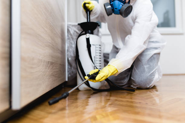 Best Rat Extermination Near Me  in Riner, VA