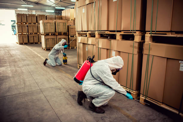 Best Affordable Pest Control Services  in Riner, VA