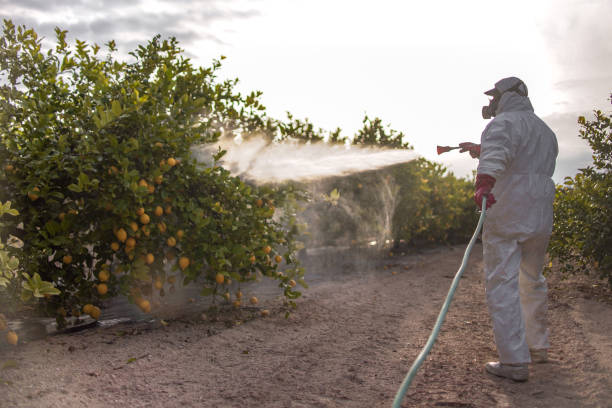 Best Commercial Pest Control Services  in Riner, VA