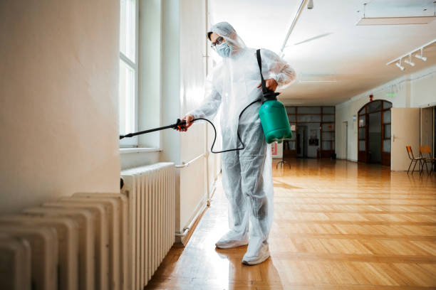 Trusted Riner, VA Pest Control Experts