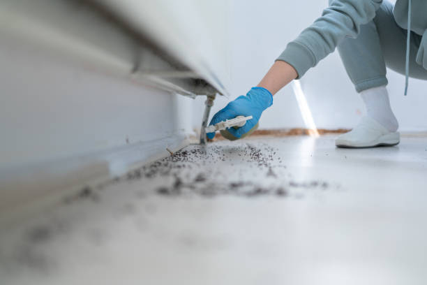 Best Pest Removal Services  in Riner, VA